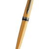 Waterman Expert 系列 - 磨砂金碳灰夾 原子筆 (2119260)