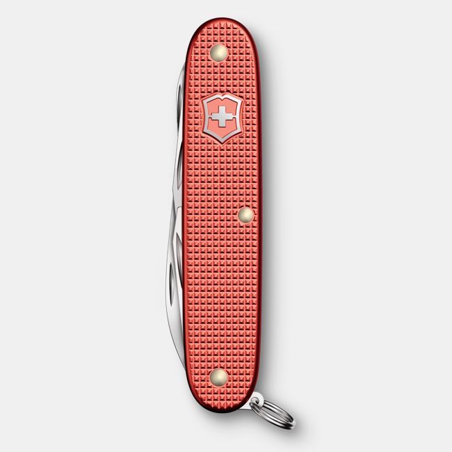 pioneer-x-alox-2025-pioneer-x-0-8231-l25-6 pioneer x alox 2025 pioneer x 0 8231 l25 6